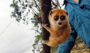 Thông tin về phát hiện