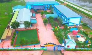 Thông tin về vụ việc